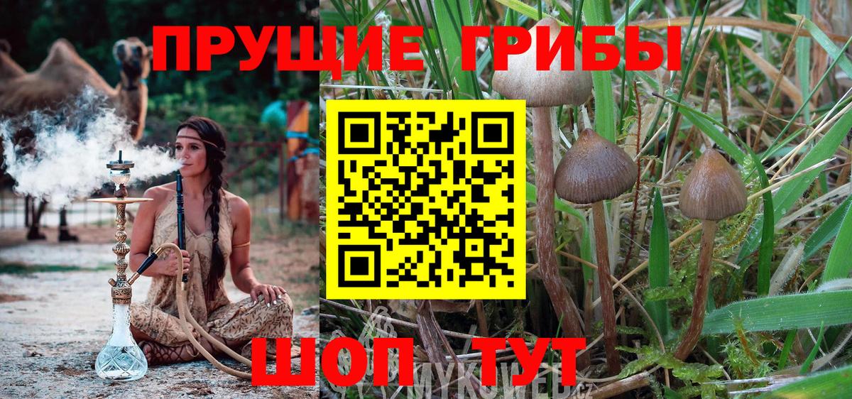Обь  Галлюциногенные грибы Magic Shrooms  Псилоцибиновые грибы мухоморы  Вход с VPN 